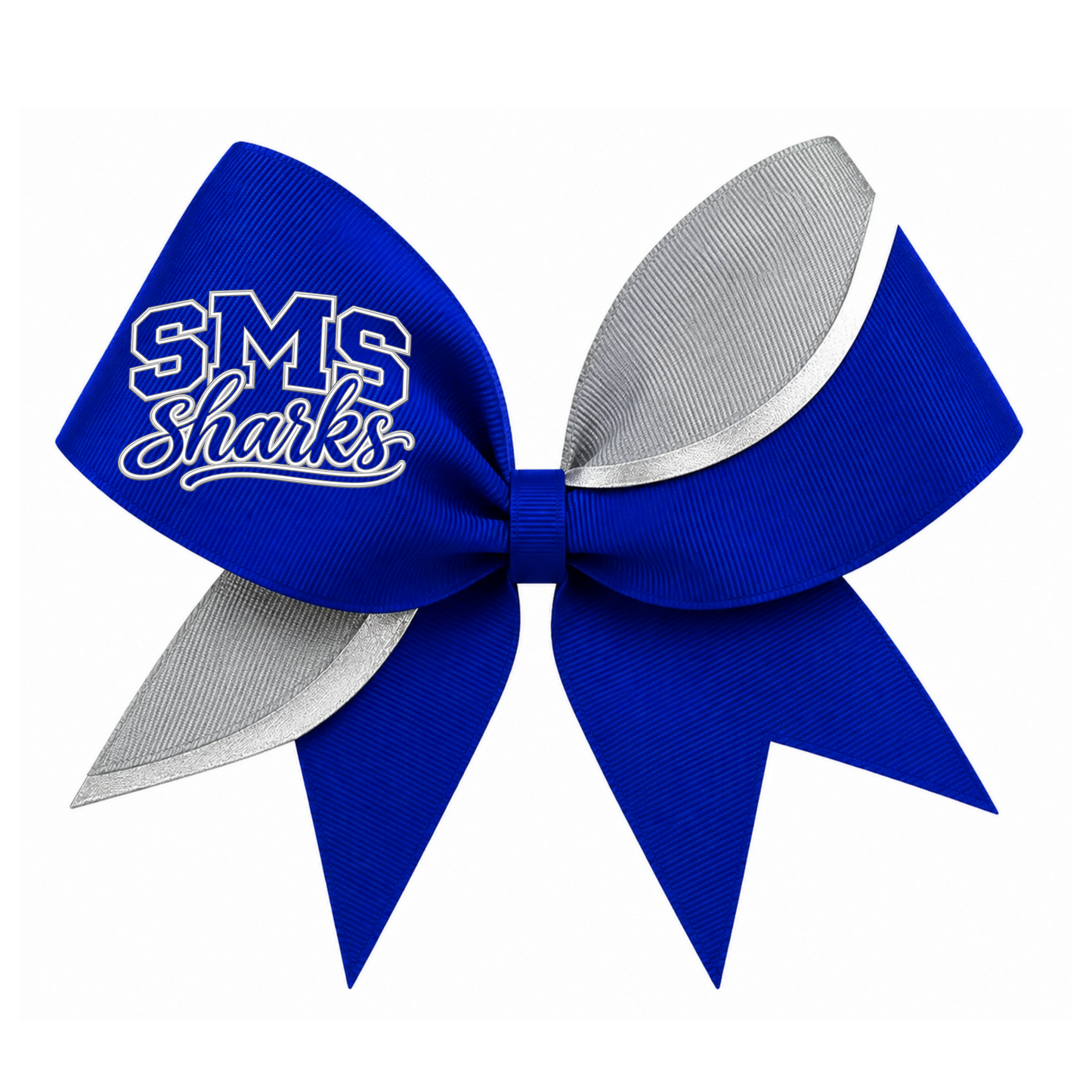 Salem 2026-27 Cheer Set