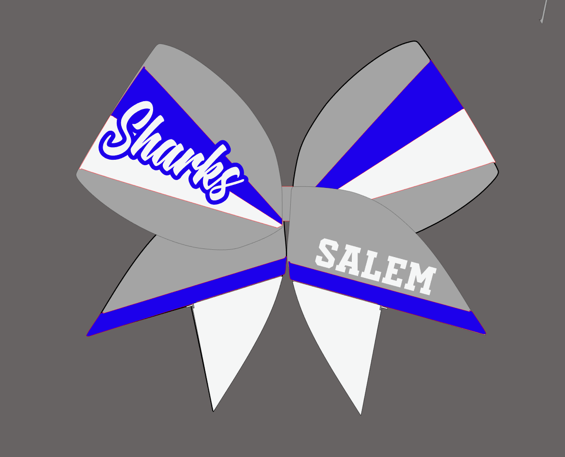 Salem 2025-26 Cheer Set