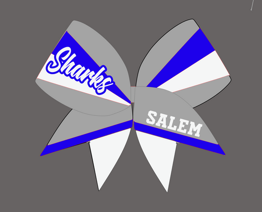 Salem 2025-26 Cheer Set